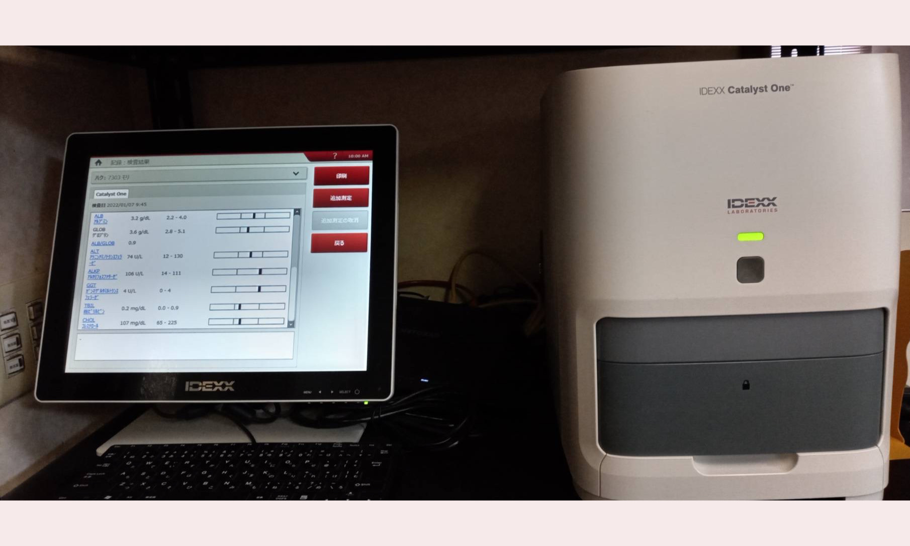 生化学自動分析装置（IDEXX）